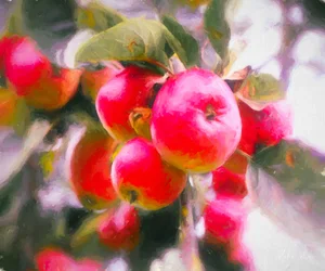 Frucht des Lebens